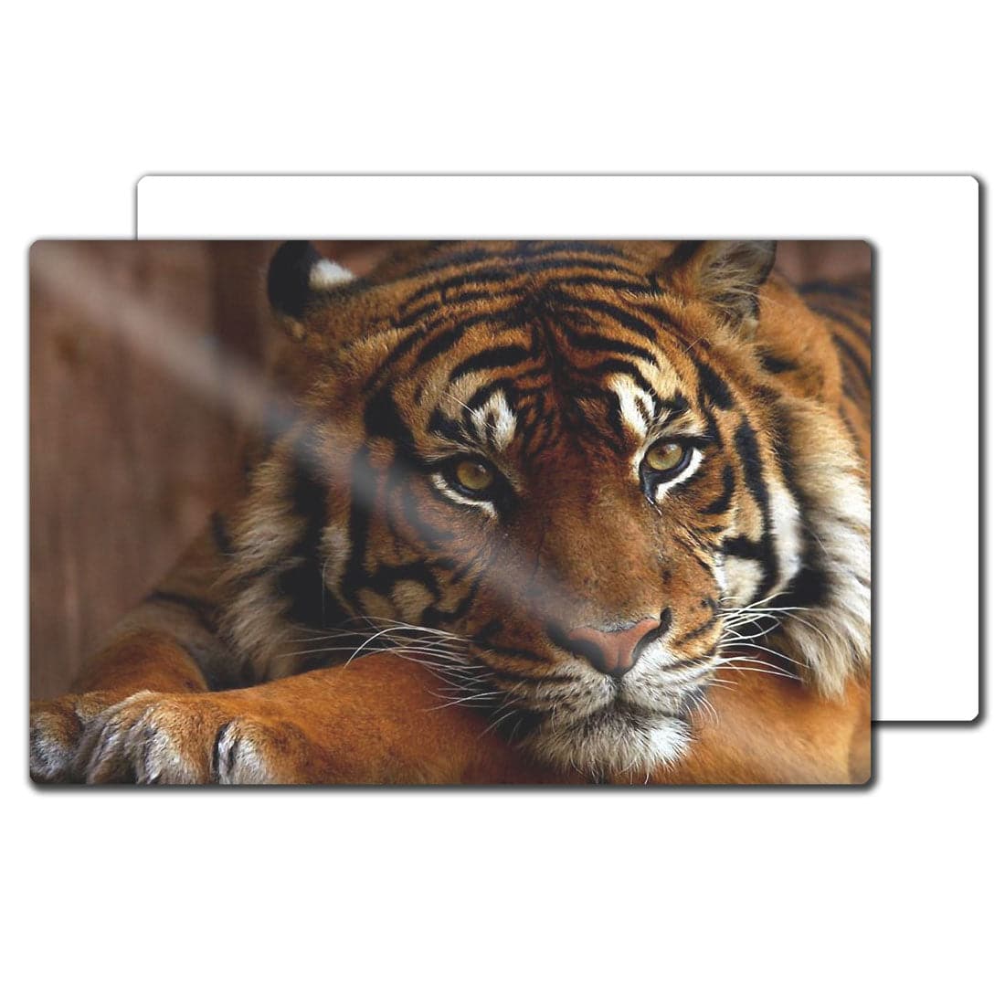 Sublimation HD Photo Panels - 24" x 36" - Pack of 10